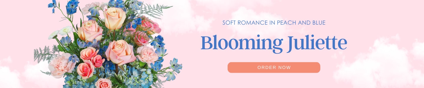 Soft romance in peach and blue Blooming Juliette